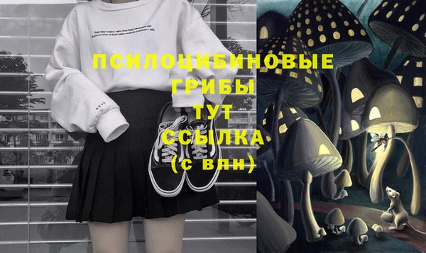 2c-b Горно-Алтайск