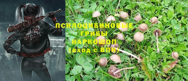 таблы Семикаракорск